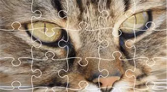Jigsaw Puzzle Classic