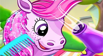 Pony Pet Salon