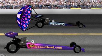 Goosehead Racing