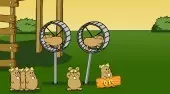 Hamsters Flug 2