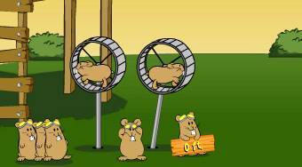 Hamsters Flug 2