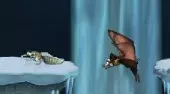 Ice Age 3