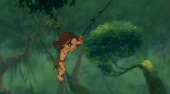 Tarzan swing