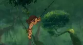 Tarzan swing