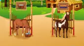 Horsecare Ausbildung