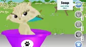 Kitty Needs Besitzer