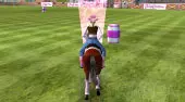 Springreiten