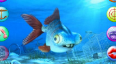 Im Gespräch George Der Unglückliche Fische