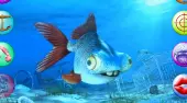Im Gespräch George Der Unglückliche Fische