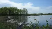 Ente Shooter