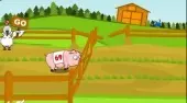 Pig Race