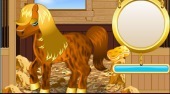 Pony Reinigung