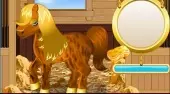 Pony Reinigung