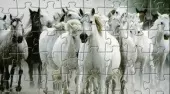 White Horse Jigsaw