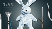 Heilung der Hase