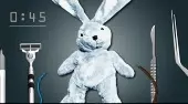 Heilung der Hase