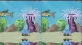 Fisch Difference