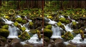 Wald Wasserfall