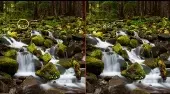 Wald Wasserfall