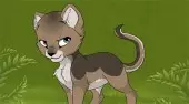 Kitten Maker