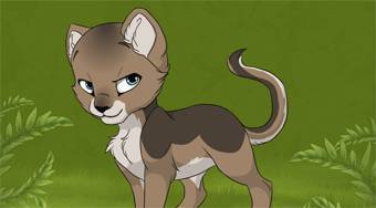Kitten Maker