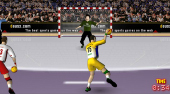 Handball-WM 2015
