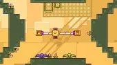 Plunger