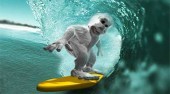 Surfen