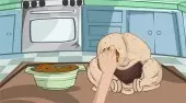 Wie die Türkei zu kochen