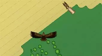 Vögel