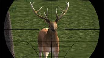 Deer Hunter