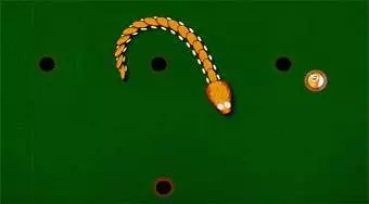 Billiard Snake