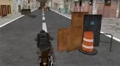 Crazy Biker