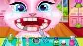 Cute Pet Dentist Salon