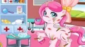 Pony Doctor