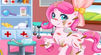 Pony Doctor