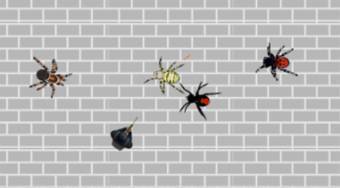 Spider Apocalypse