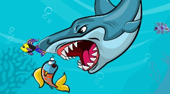 Fat Shark
