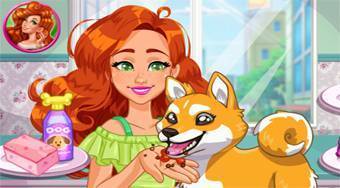 Jessie's Shiba Dog