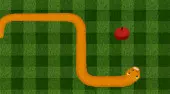Snake Apples