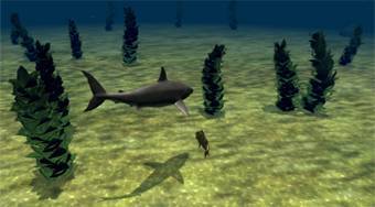 Great White