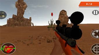 Hit Targets Shooting