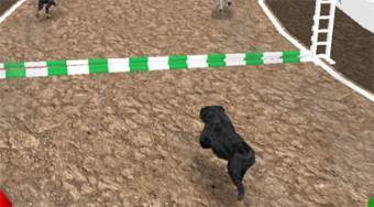 Dog Simulator 3D