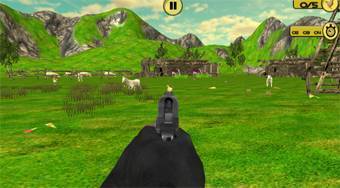 Chicken Shooter
