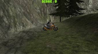 Mountain Bike Rider