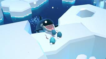 Cuddle Whale