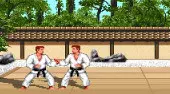 Budokan: Der Kampfgeist