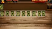 Spinne Solitaire Agame