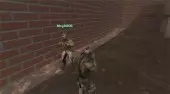Fight Arena Online