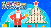 Ctach the Snowflake